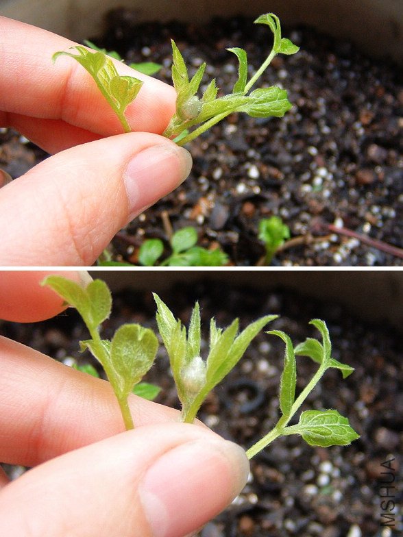 �ﰺ 5��7��-3.JPG