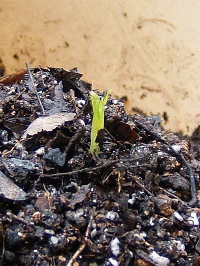 ���� 5��7��.JPG