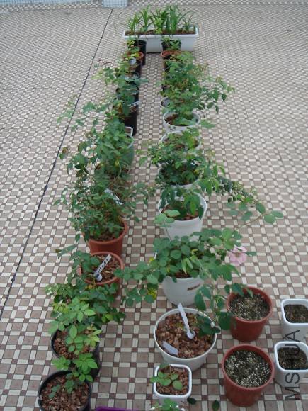 5�¼���.jpg