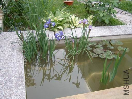 ������С ty-4.JPG