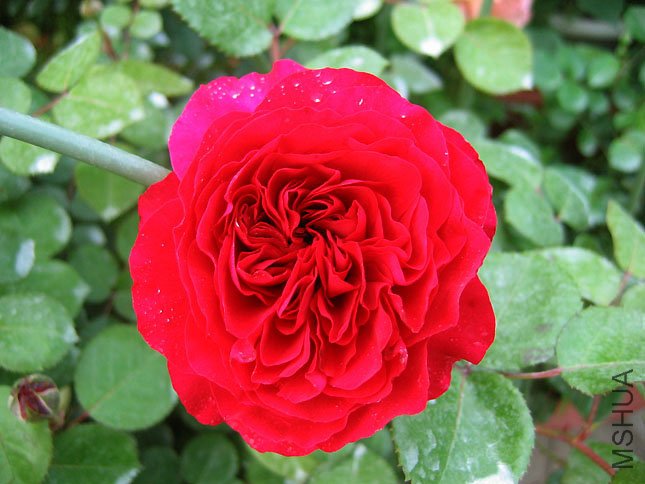 �� �� (3).JPG