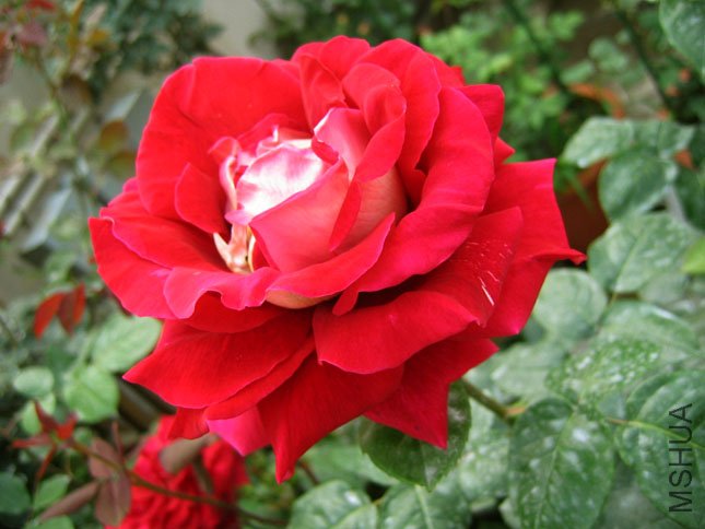 �� �� (1).JPG