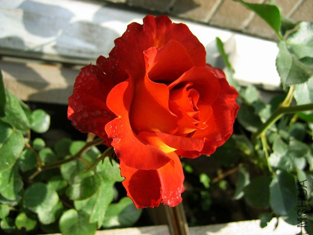 ����ʱ�� ` (1).JPG