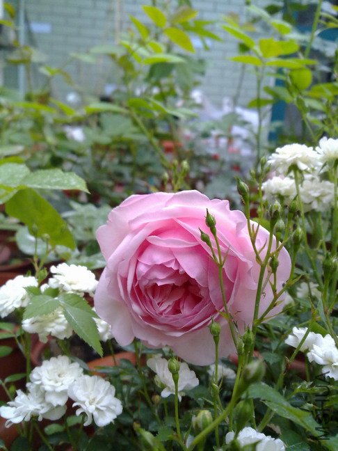 201005123420.jpg