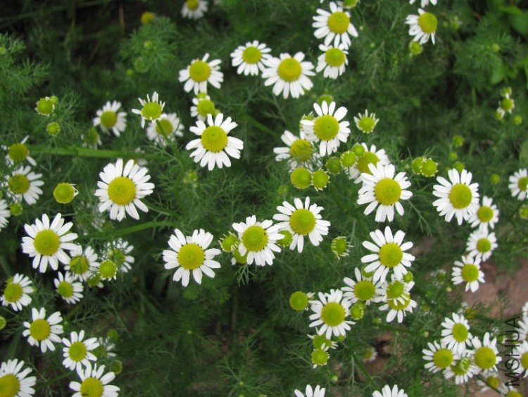 BigBull_��Ƭ 012.jpg