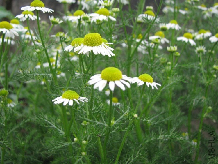 BigBull_��Ƭ 019.jpg