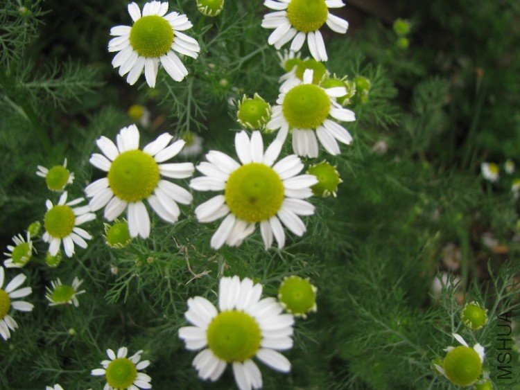 BigBull_��Ƭ 018.jpg