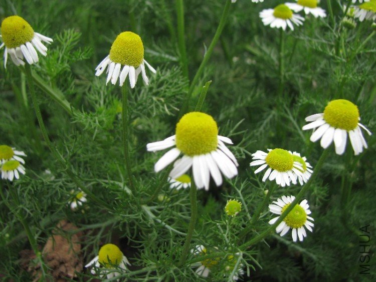 BigBull_��Ƭ 020.jpg