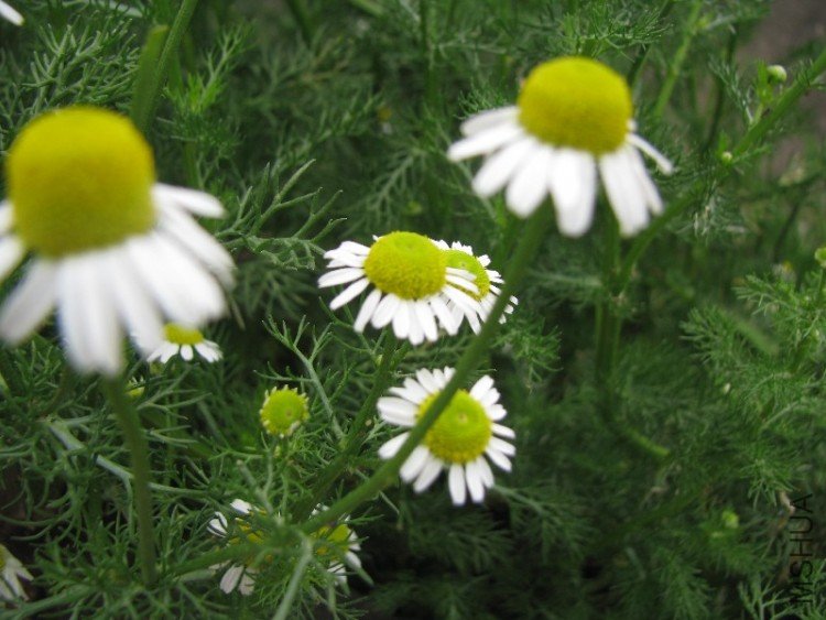 BigBull_��Ƭ 021.jpg