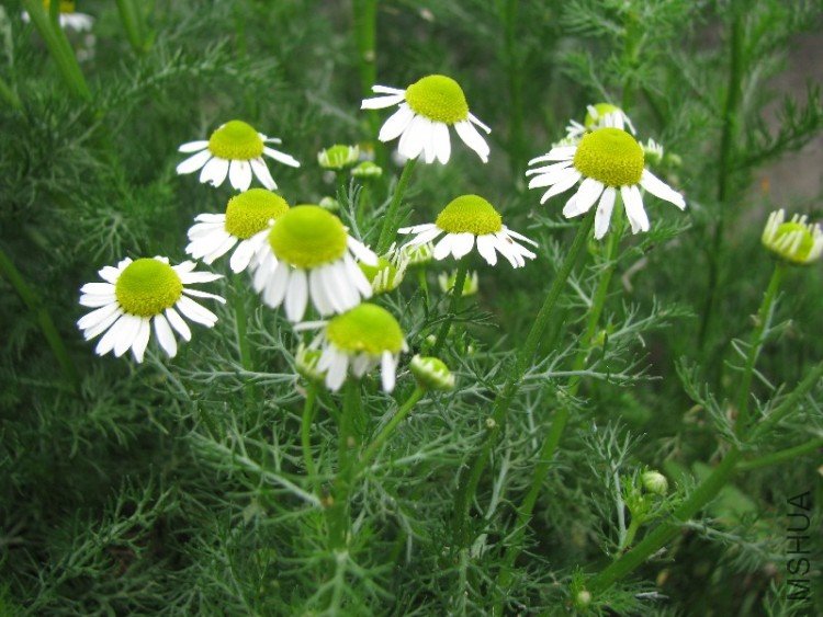 BigBull_��Ƭ 022.jpg