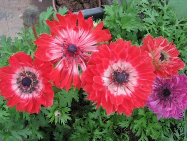 BigBull_��Ƭ 037.jpg