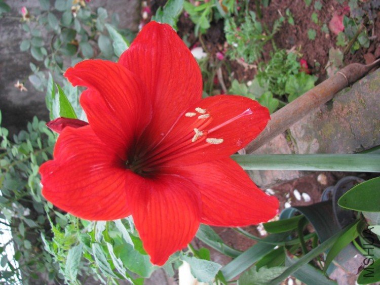 BigBull_��Ƭ 030.jpg