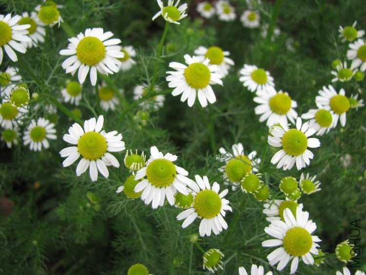 BigBull_��Ƭ 025.jpg