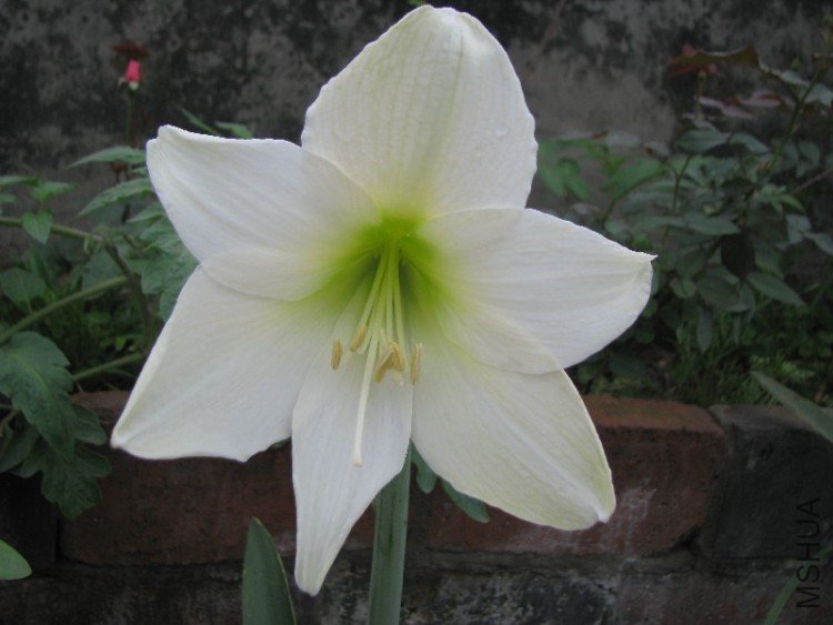 BigBull_��Ƭ 031.jpg