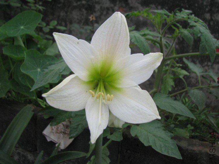 BigBull_��Ƭ 032.jpg