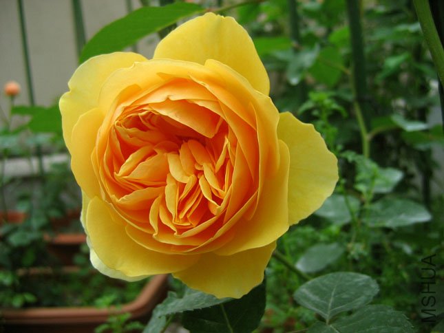 ���׺� (2).JPG