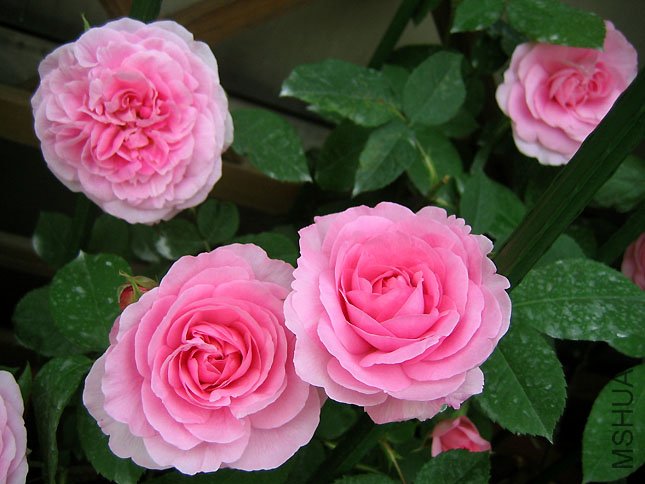 ����³ (1).JPG