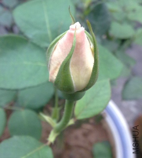 ��2.jpg