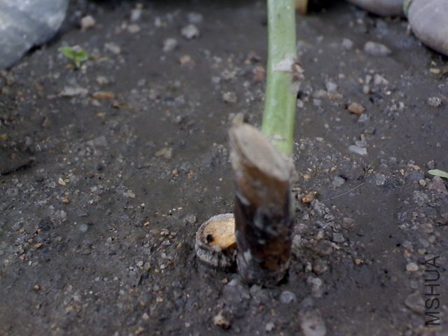 DSC00002.JPG
