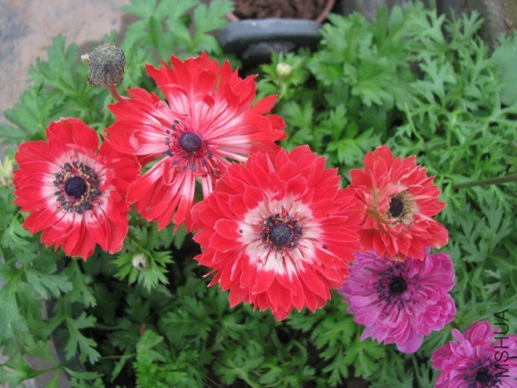 BigBull_��Ƭ 047.jpg