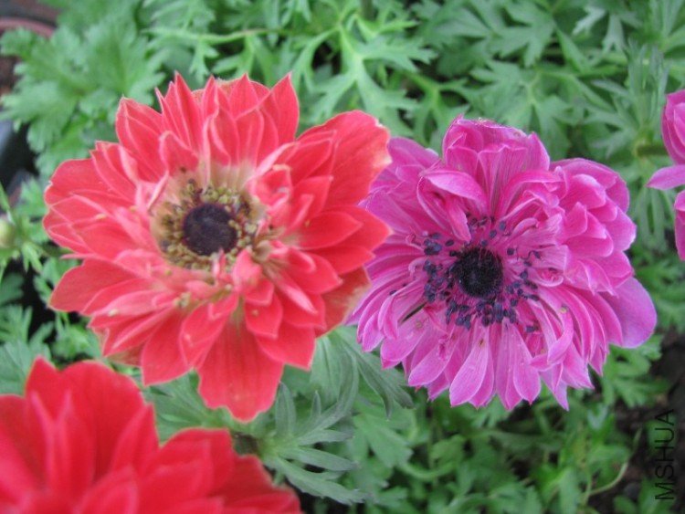 BigBull_��Ƭ 045.jpg