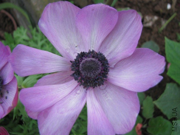 BigBull_��Ƭ 042.jpg