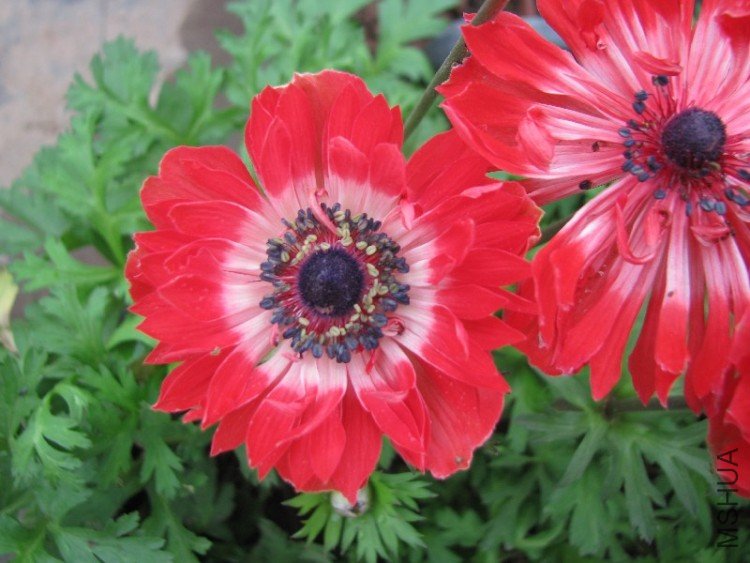 BigBull_��Ƭ 046.jpg