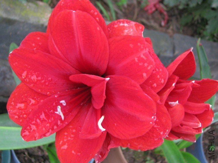 BigBull_��Ƭ 064.jpg