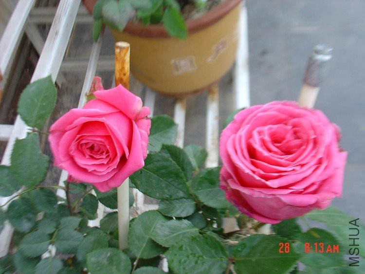 DSC03961.JPG