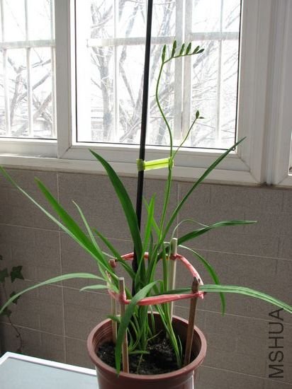 nEO_IMG_20100326z 017.jpg