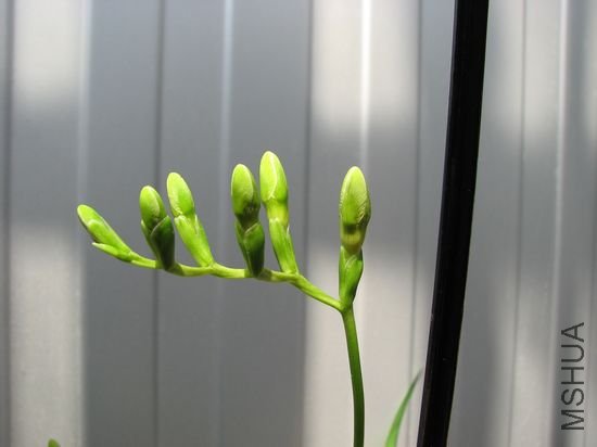 nEO_IMG_20100326z 025.jpg