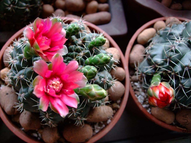 系���10-5-15 (1).jpg