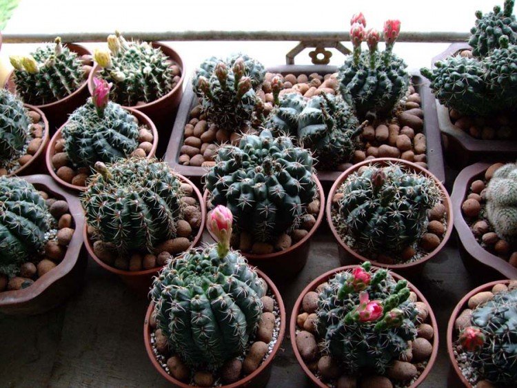 系���10-5-15 (5).jpg