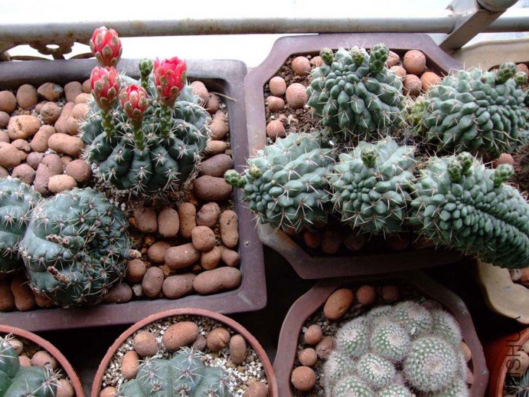 系���10-5-15 (10).jpg