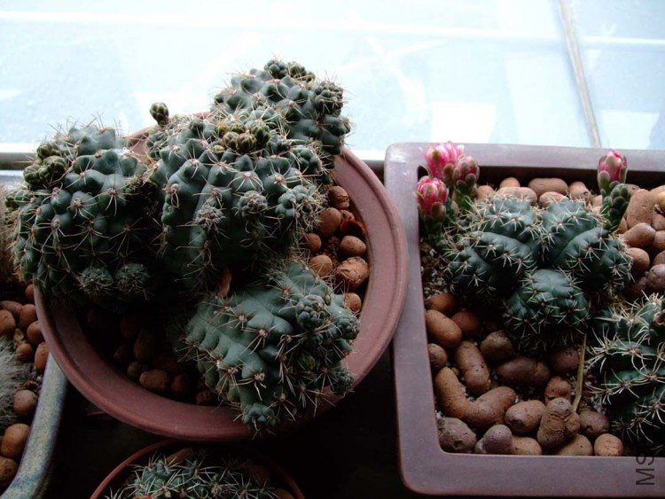 系���10-5-15 (9).jpg