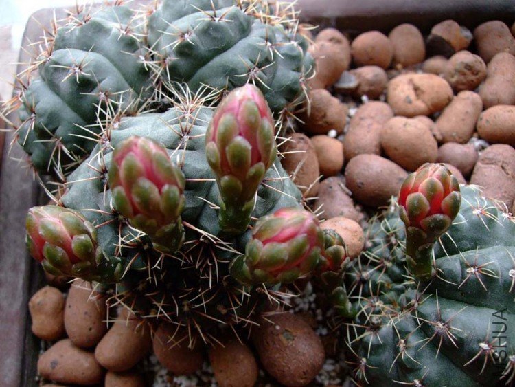 系���10-5-15 (11).jpg