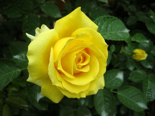 ͯ������ (1).JPG