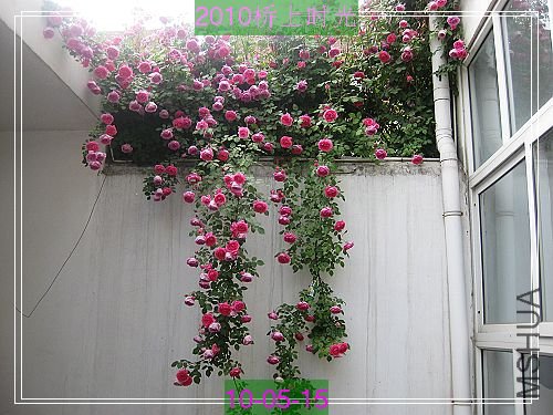 nEO_IMG_��Ƭ 231.jpg