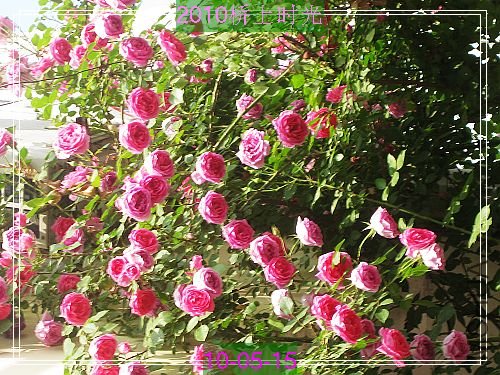 nEO_IMG_��Ƭ 157.jpg