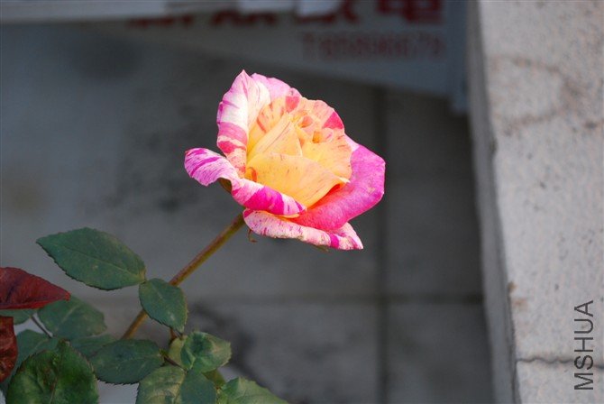120.jpg