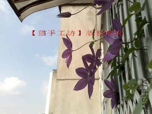 ���а�5.15 2.jpg