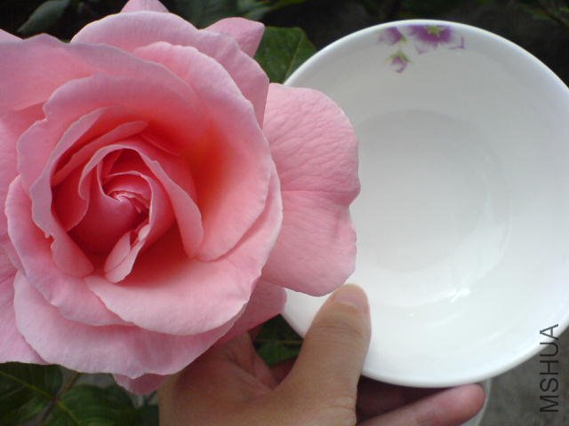 DSC03597.JPG