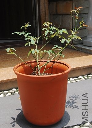 DSC_0213.jpg