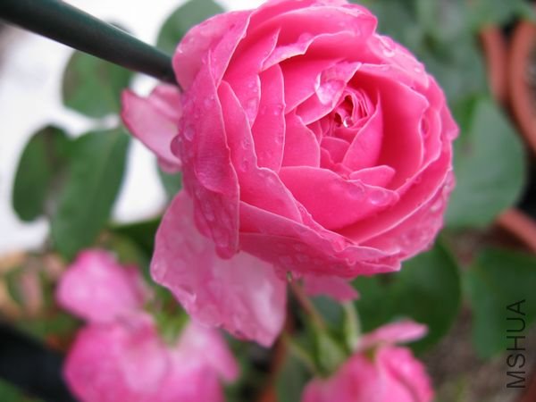 nEO_IMG_IMG_0011.jpg