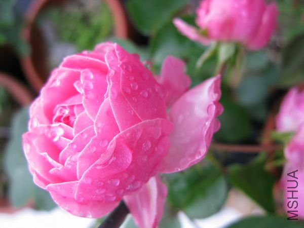 nEO_IMG_IMG_0012.jpg