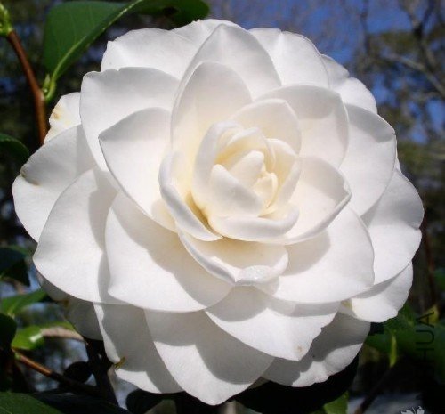 ���ݣ�Sea Foam��_����.jpg