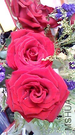 IMG0076A.jpg