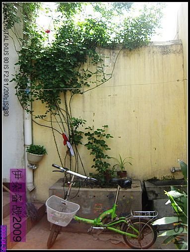 ��Ƭ 032_nEO_IMG.jpg