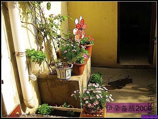 nEO_IMG_��Ƭ 008.jpg