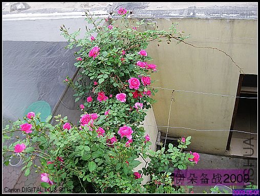 ��Ƭ 033_nEO_IMG.jpg